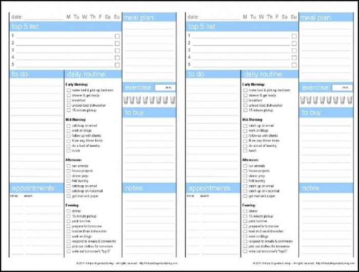 Printable Adhd Daily Planner Template Template 2 : Resume Examples #