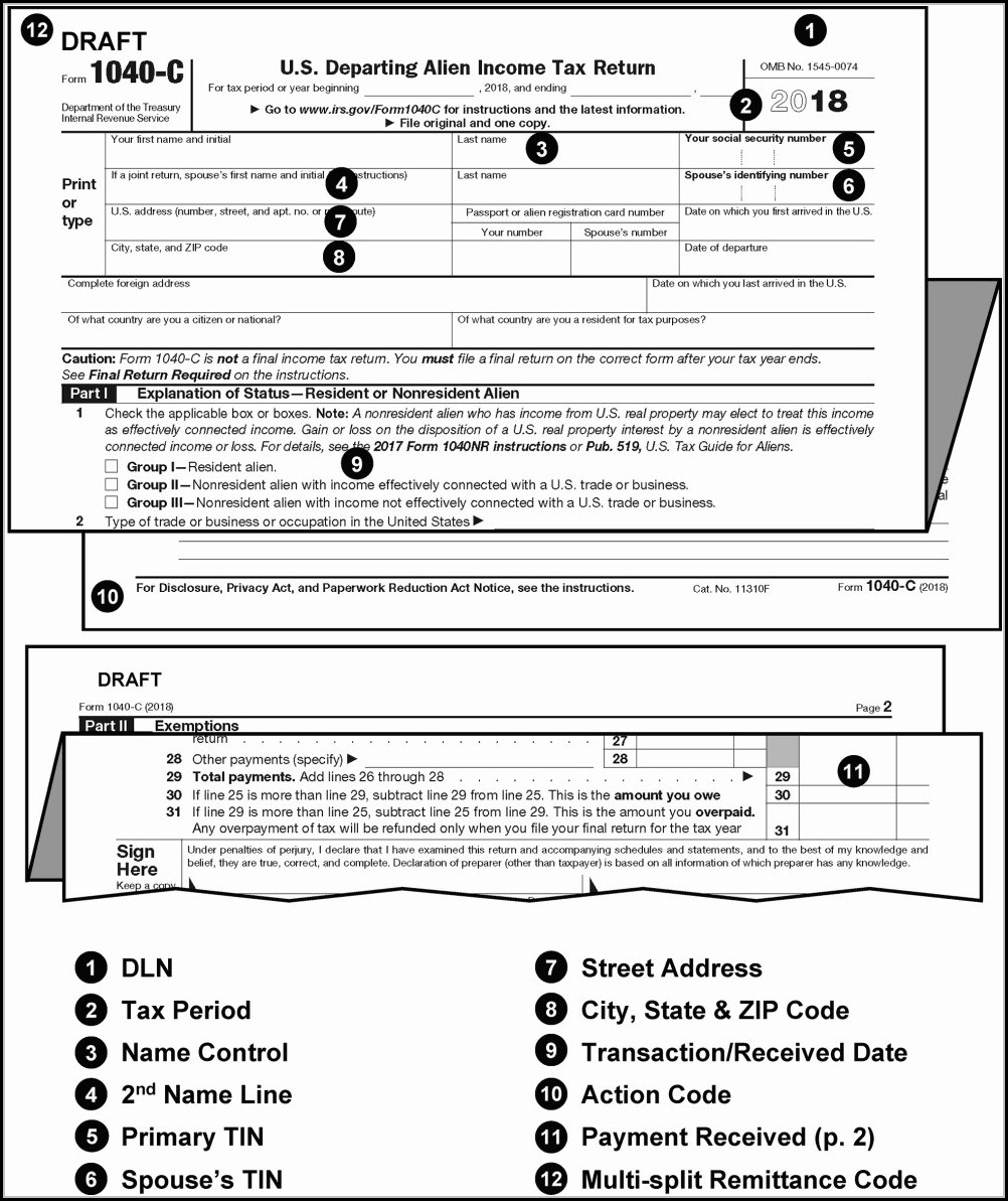 Free Irs Wisp Template