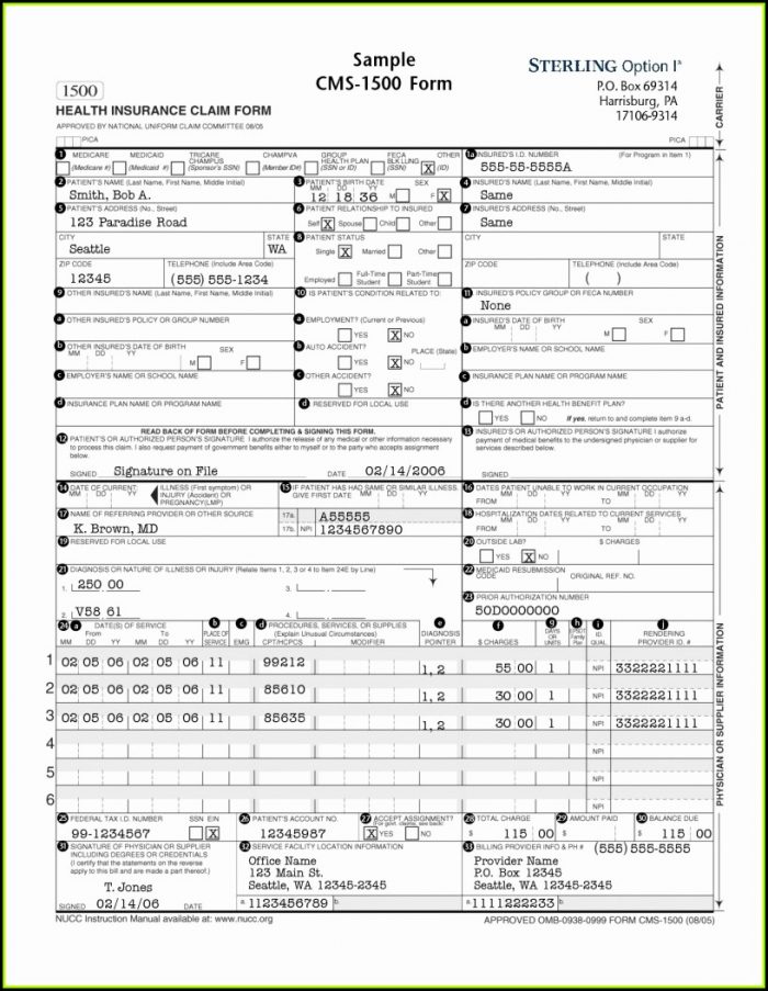 cms-1500-claim-form-instructions-2016-form-resume-examples-xe8je6e3oo