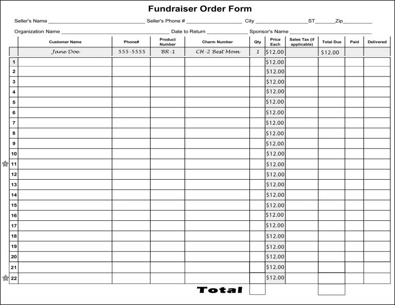 Fundraiser Form Template Free - Template 2 : Resume Examples #dO3w0jz8En