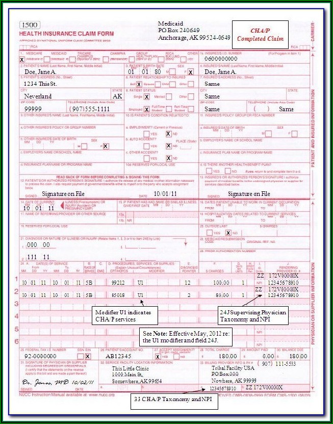 Completed Cms 1500 Claim Form Sample - Form : Resume Examples #xJKEEg2Krk